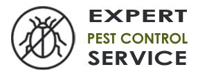 Pro Exterminator Company Lakewood WA